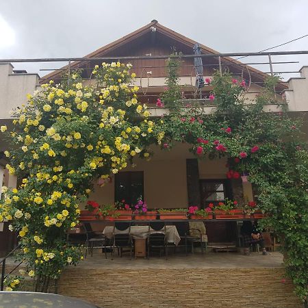 Călimăneşti Casa Delia酒店 外观 照片