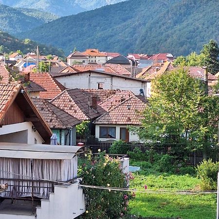 Călimăneşti Casa Delia酒店 外观 照片