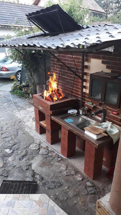 Călimăneşti Casa Delia酒店 外观 照片