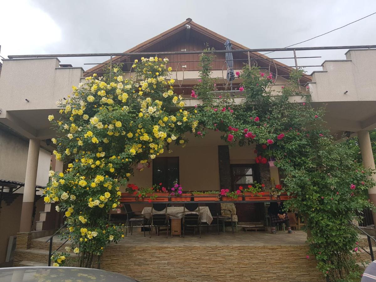 Călimăneşti Casa Delia酒店 外观 照片