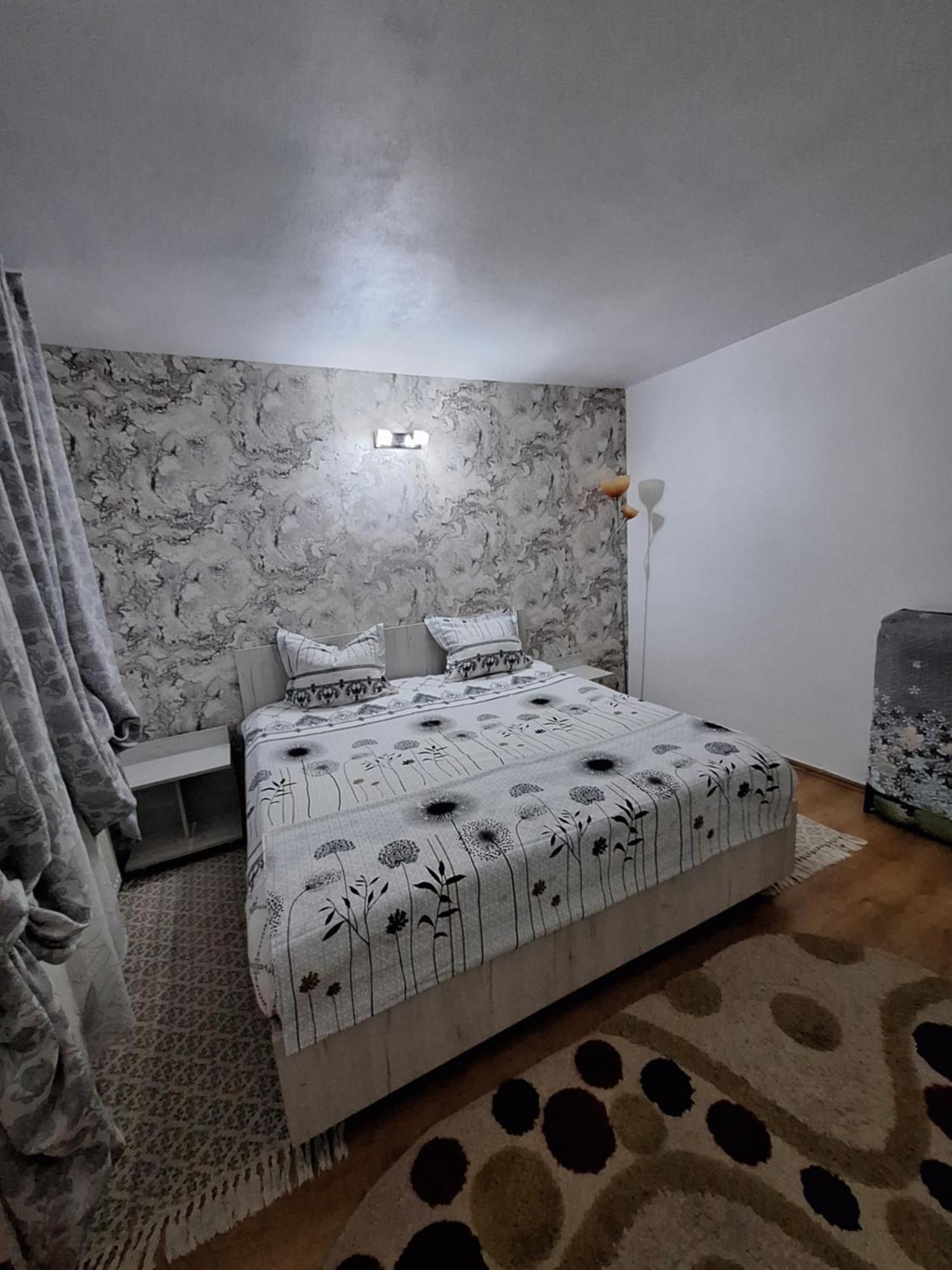 Călimăneşti Casa Delia酒店 外观 照片