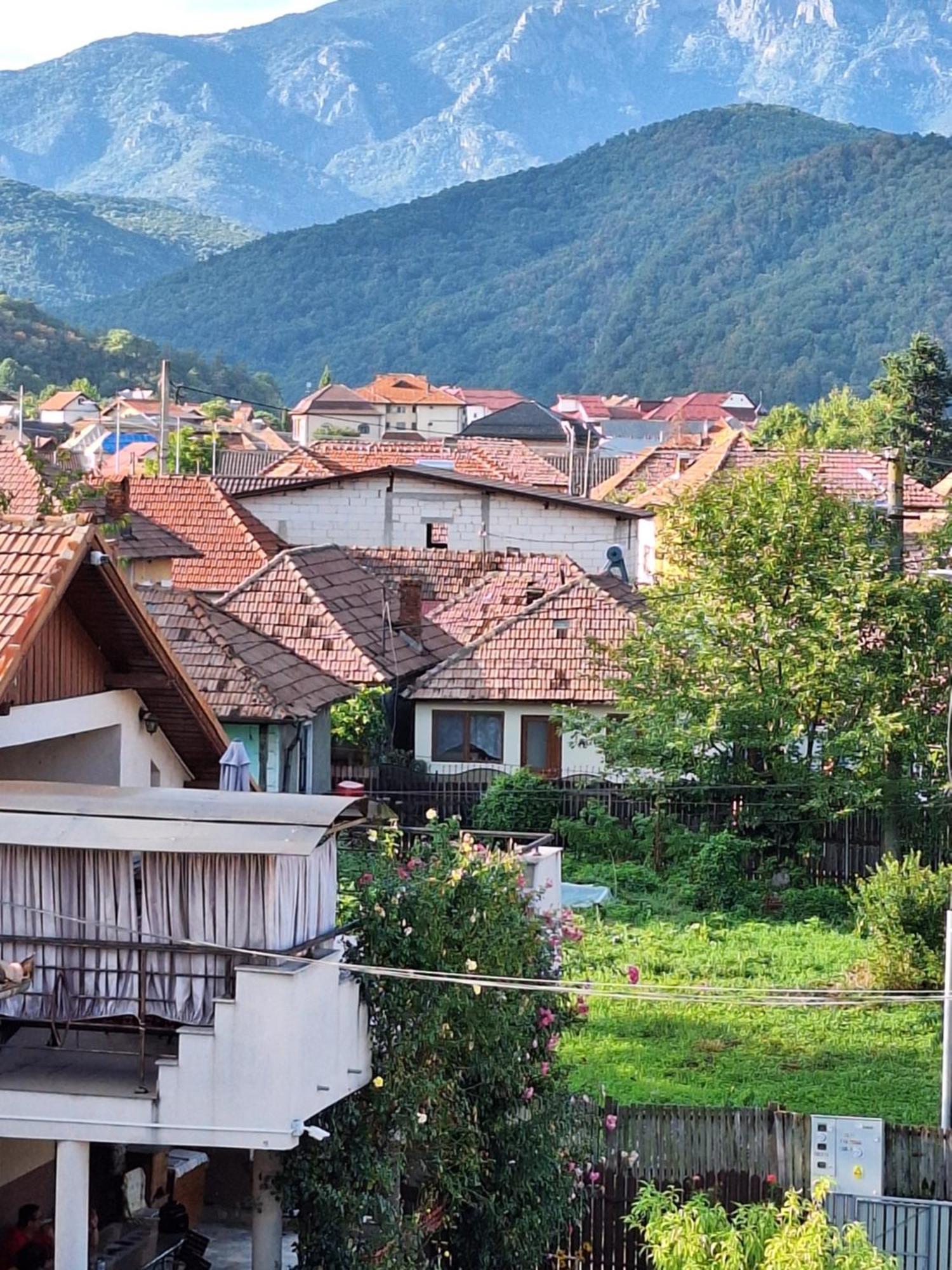Călimăneşti Casa Delia酒店 外观 照片