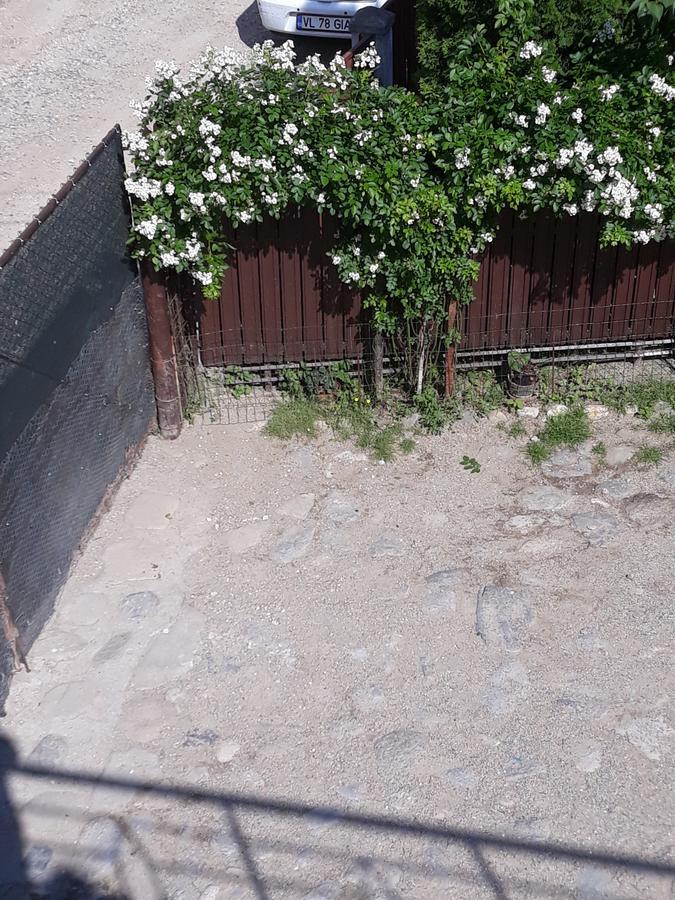 Călimăneşti Casa Delia酒店 外观 照片