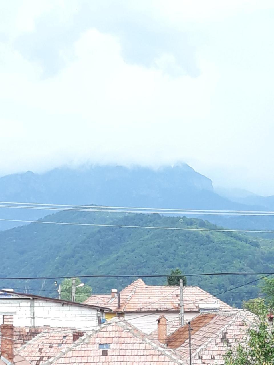 Călimăneşti Casa Delia酒店 外观 照片